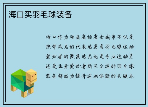 海口买羽毛球装备